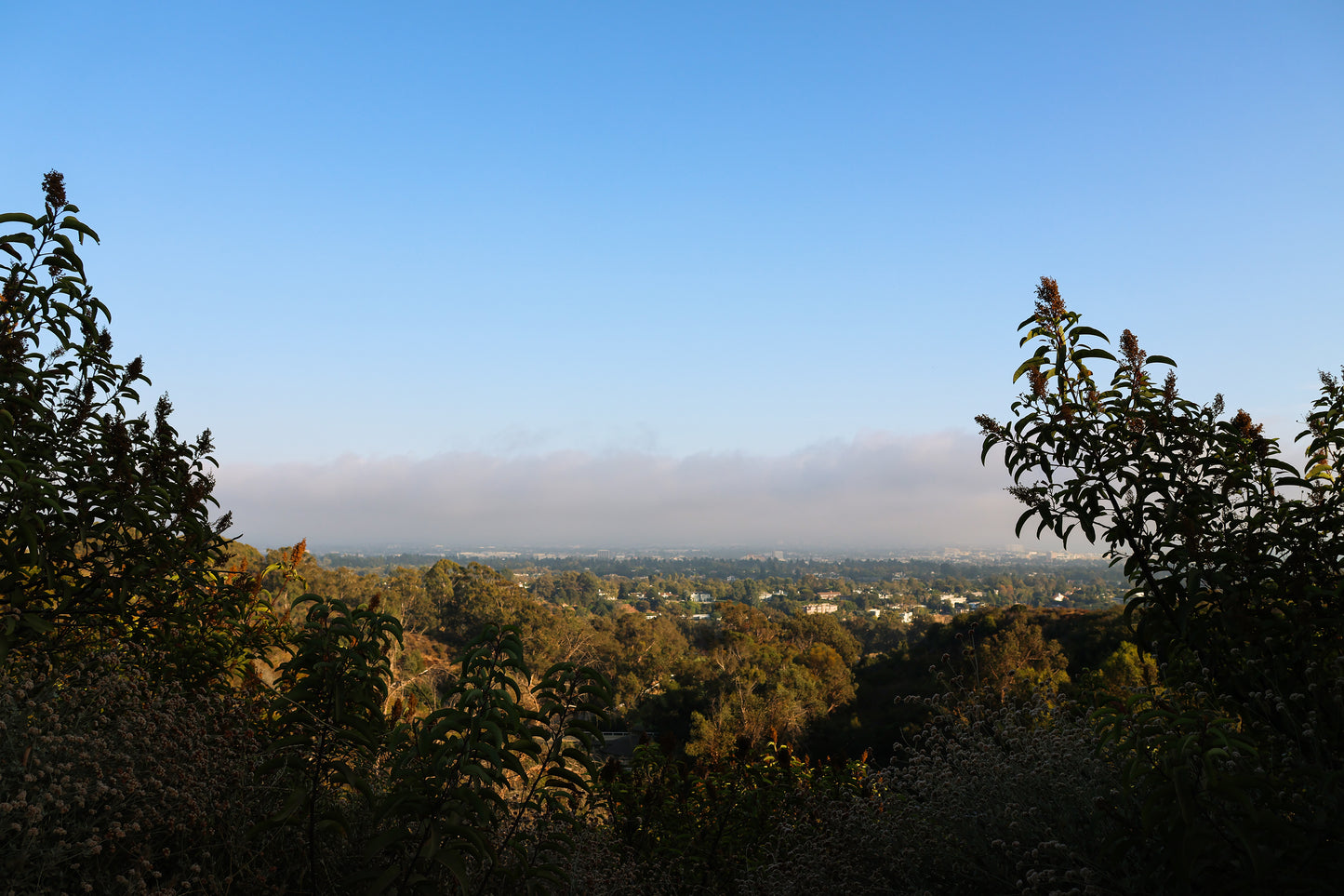 Will Rogers Park 3