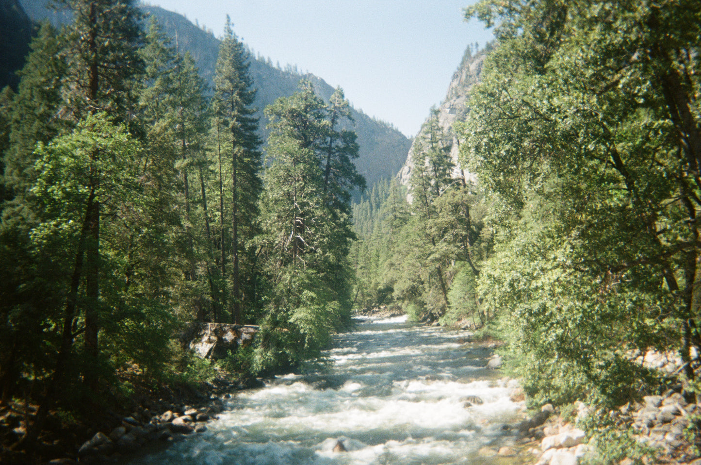 Yosemite Photo 4
