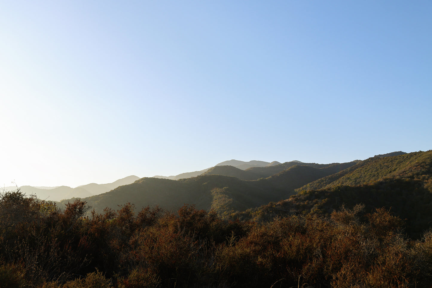 Will Rogers Park 2